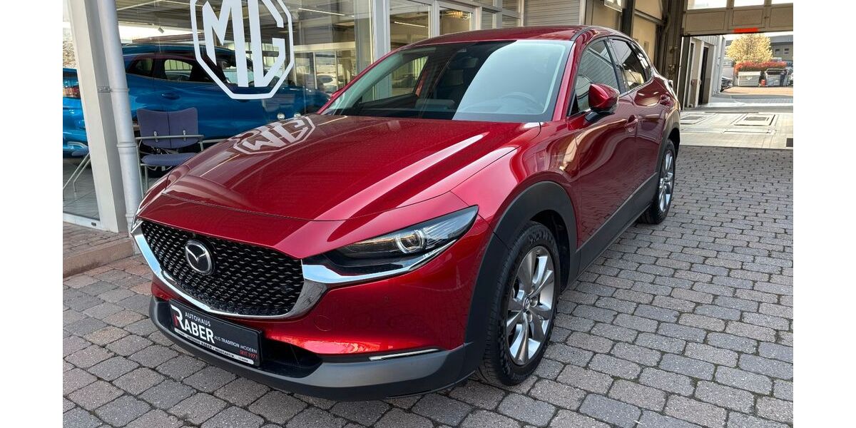 Mazda CX-30 75.550 km 20.490 &euro; Neustadt 67433