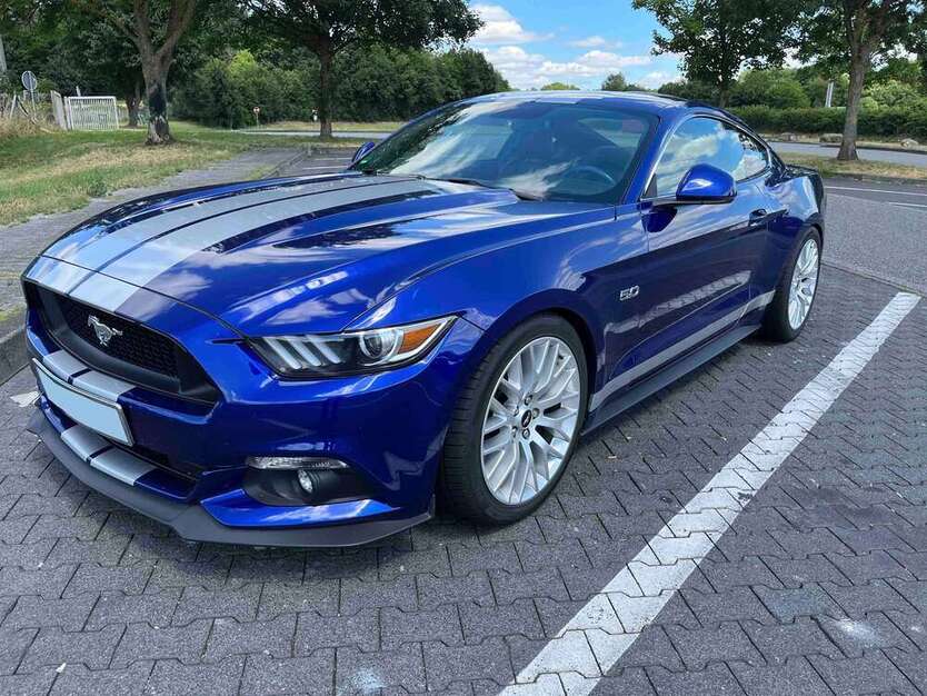 Mustang