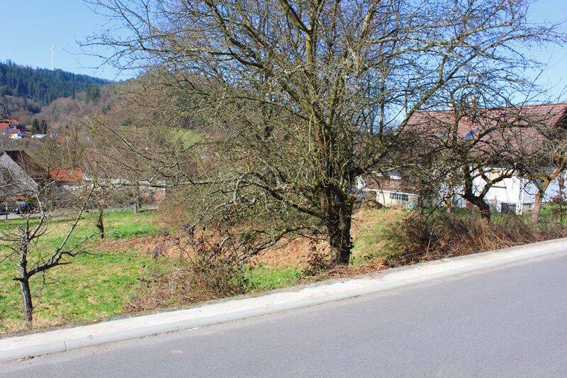 Grundstück Wald-Michelbach Unter-Schönmattenwag - 48.000&euro; | Angebot:26155844