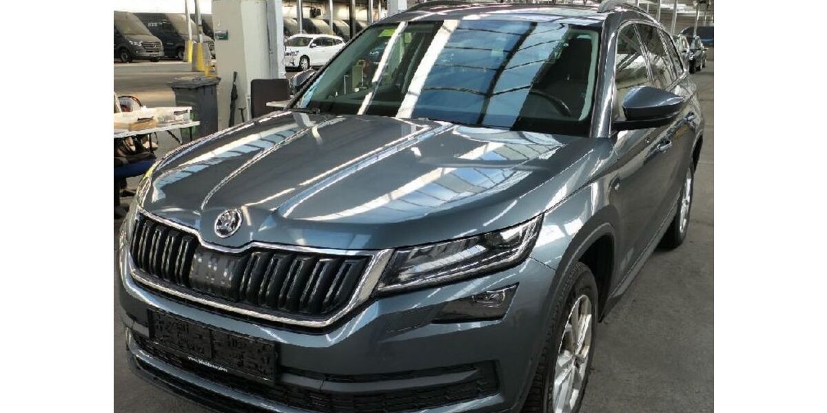 Skoda Kodiaq 204.000 km 18.088 &euro; Heidelberg 69123
