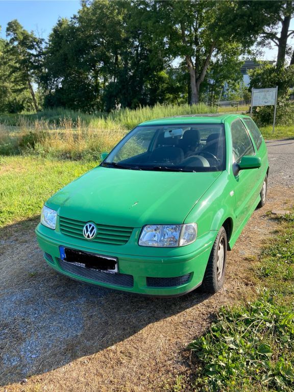 Polo