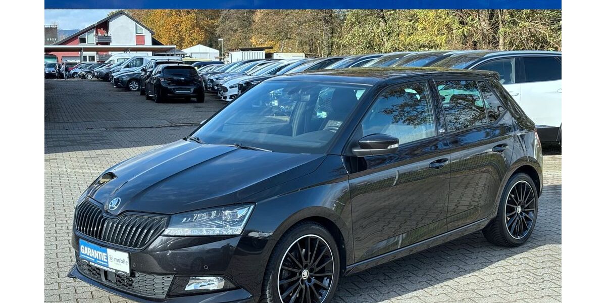 Skoda Fabia 54.852 km 16.490 &euro; Haßloch 67454