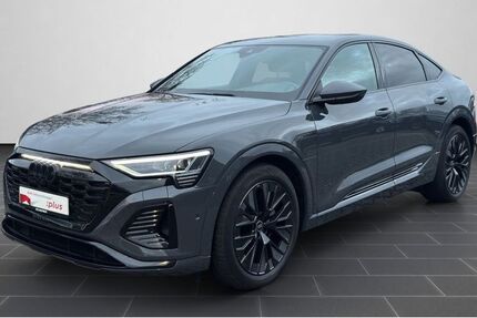 Audi Q8 e-tron 75.541 km 47.500 &euro; Ludwigshafen 67063