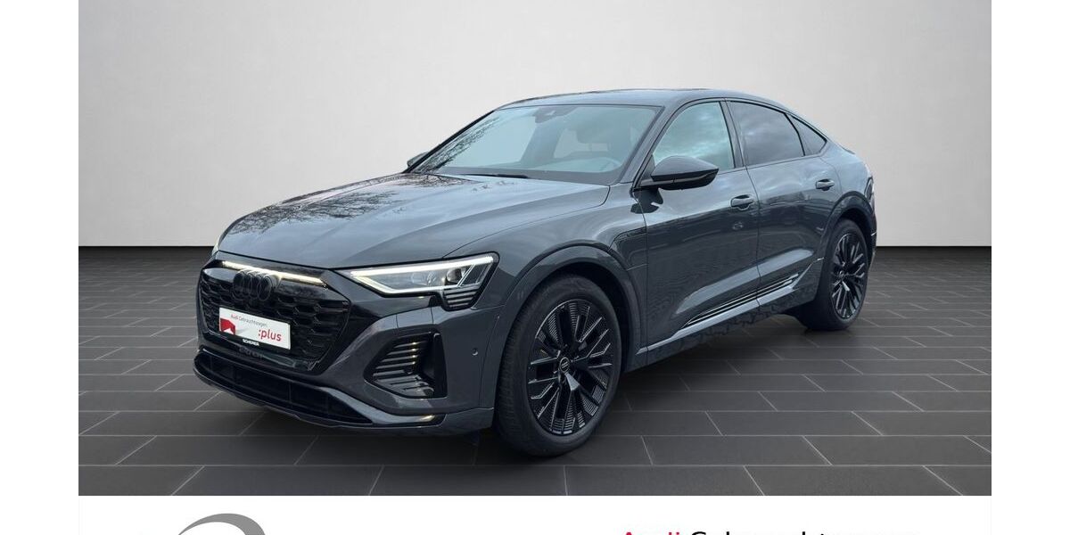 Audi Q8 e-tron 75.541 km 47.500 &euro; Ludwigshafen 67063