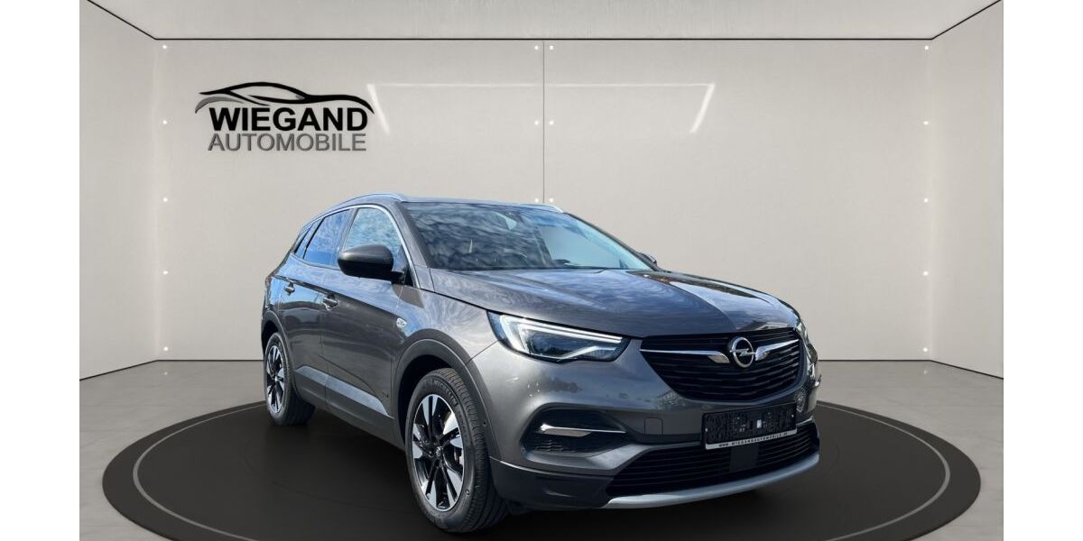 Opel Grandland (X) 26.000 km 23.390 &euro; Viernheim 68519