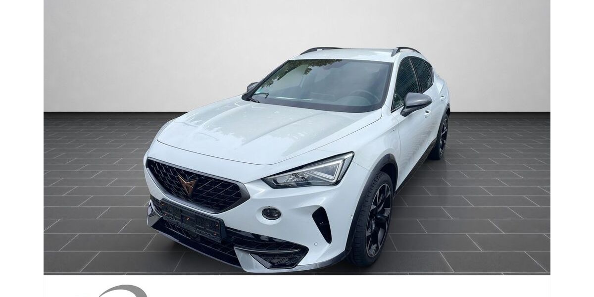 Cupra Formentor 84.745 km 26.500 &euro; Ladenburg 68526