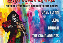 The Irish Folk Festival - Different Strokes For Different Folks