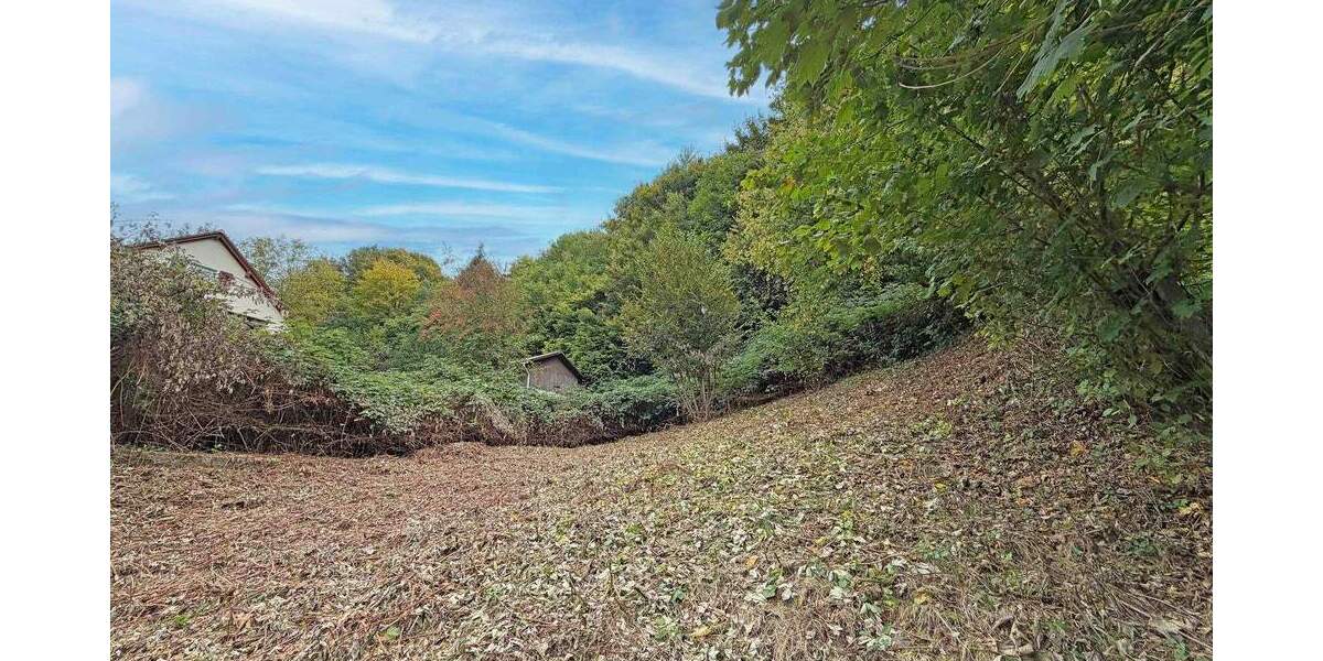 Grundstück Schönau - 98.000&euro; | Angebot:22933869