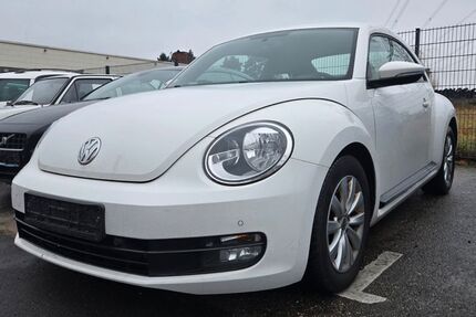 VW Beetle 268.000 km 4.450 &euro; Sandhausen 69207
