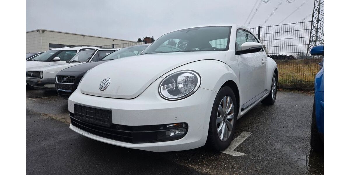 VW Beetle 268.000 km 4.450 &euro; Sandhausen 69207