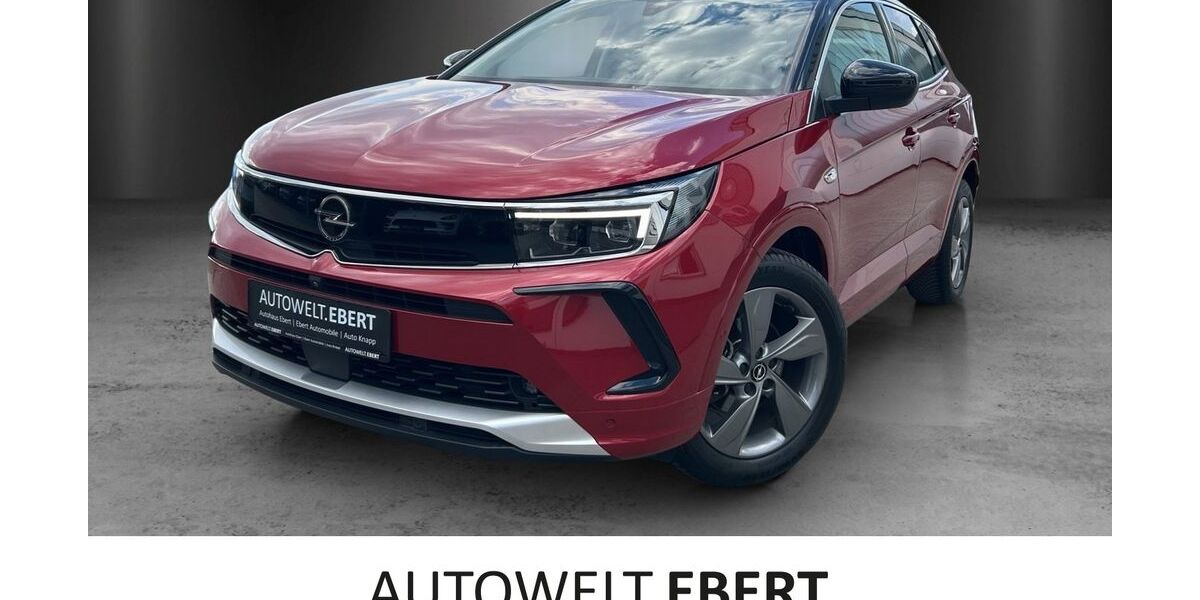 Opel Grandland (X) 21.900 km 23.690 &euro; Bensheim 64625