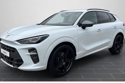 Cupra Terramar 6.900 km 49.900 &euro; Ladenburg 68526