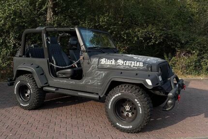 Jeep Wrangler 161.000 km 26.900 &euro; WIESLOCH 69168