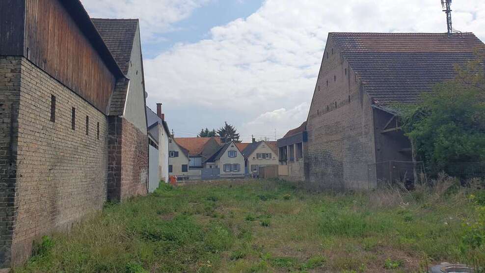 Grundstück zu verkaufen in Böhl-Iggelheim 495.000 € 1552 m²