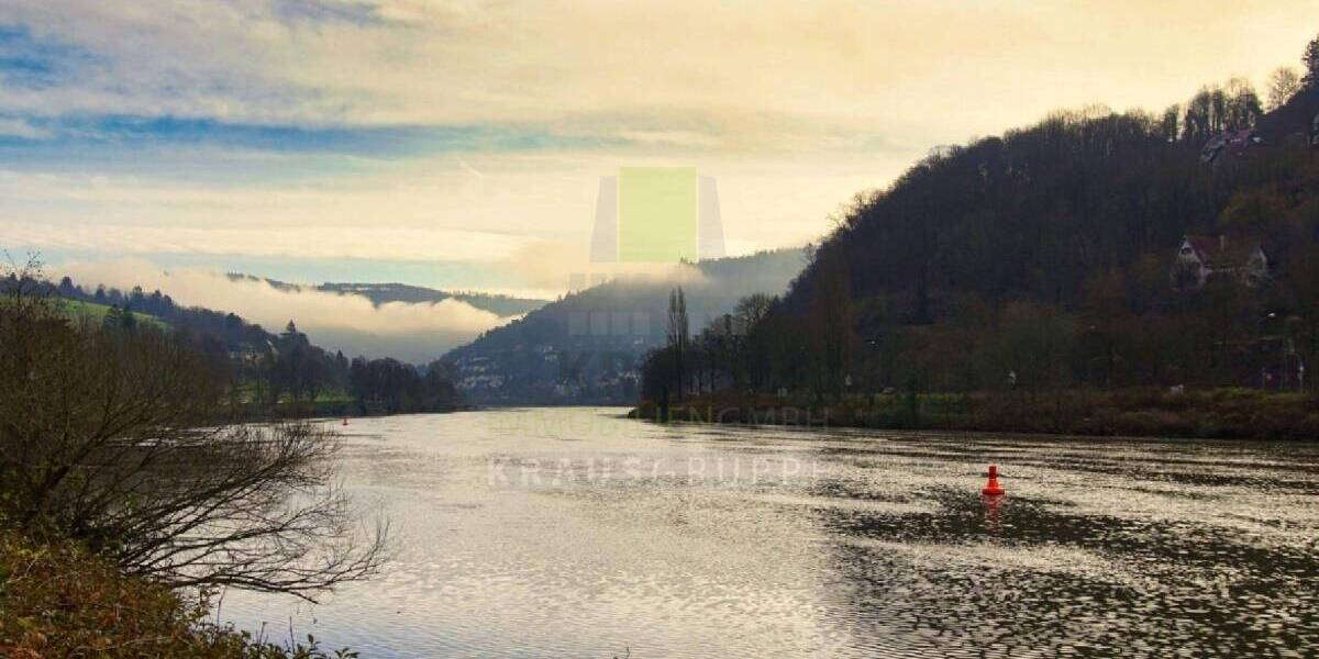 Doppelhaushälfte am Neckar 5 zimmer