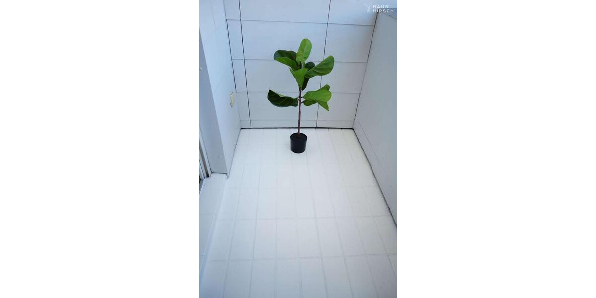 Helle 2- Zimmerwohnung mit 2 Balkonen, Erstbezug nach Sanierung 2 zimmer