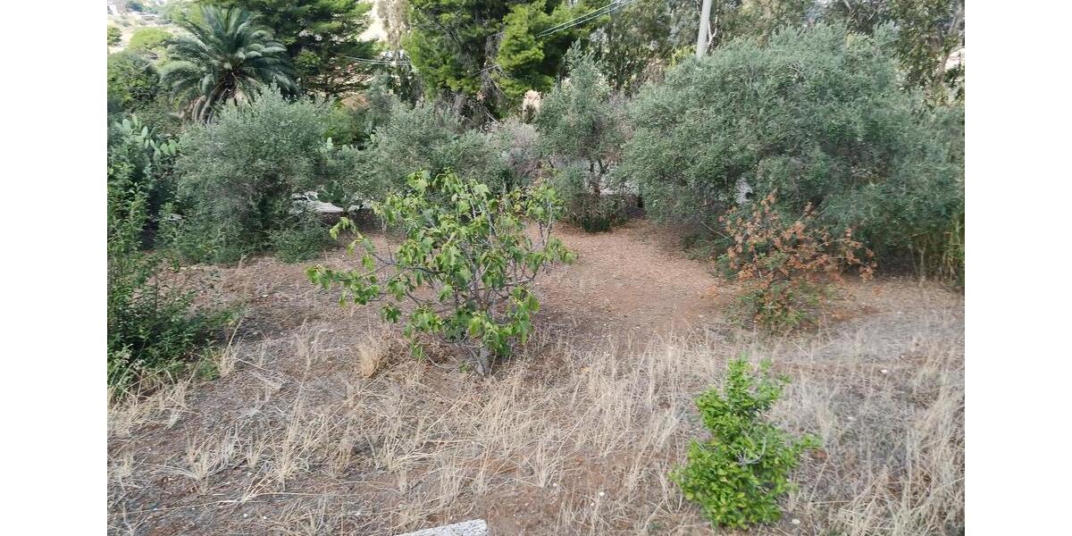 Grundstück Leimen - 35.000&euro; | Angebot:26143056