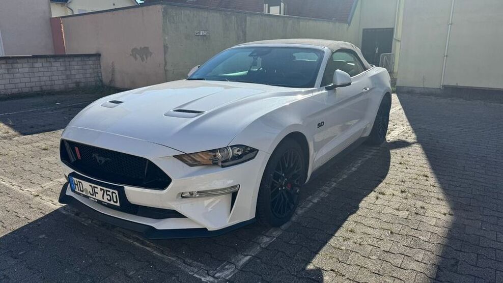 Mustang
