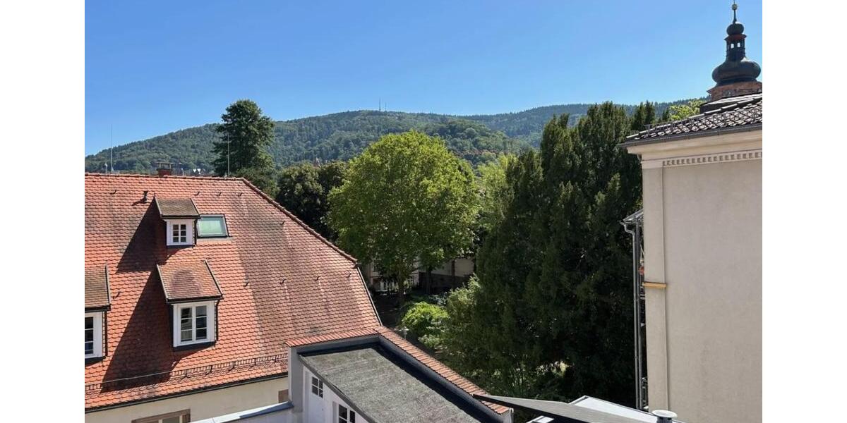 Dachgeschoßwohnung Heidelberg - 5 Zimmer, 140 m&sup2;, 2.240&euro; | Angebot:25789588