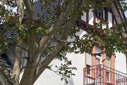 Modernes Co-Working im Kulturdenkmal - Bensheim-Auerbach - All-in-Miete zimmer