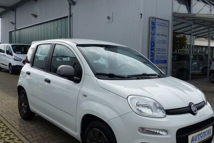 Fiat Panda 70.000 km 5.500 &euro; Hockenheim 68766