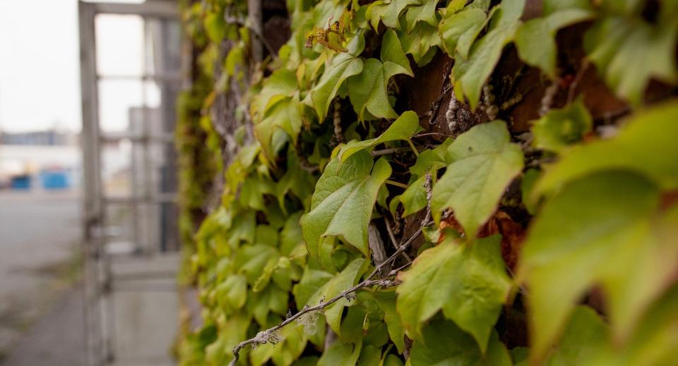 Gewerbeobjekt Mannheim Herzogenried - 275&euro; | Angebot:25352491