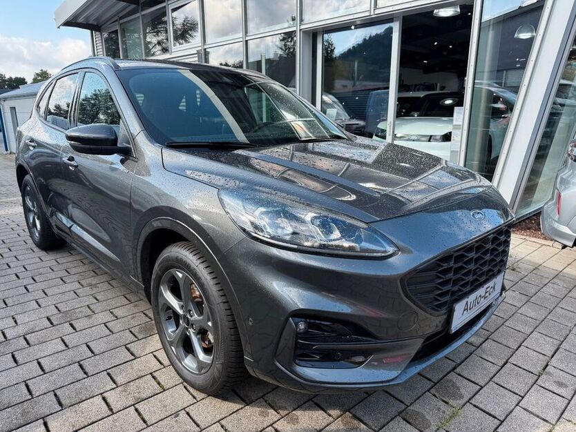 Kuga
