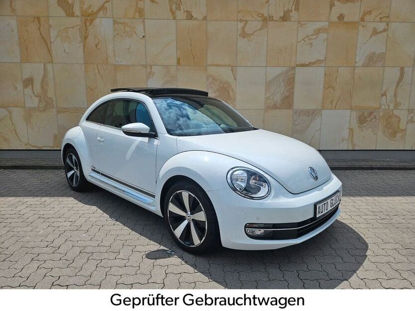 Beetle