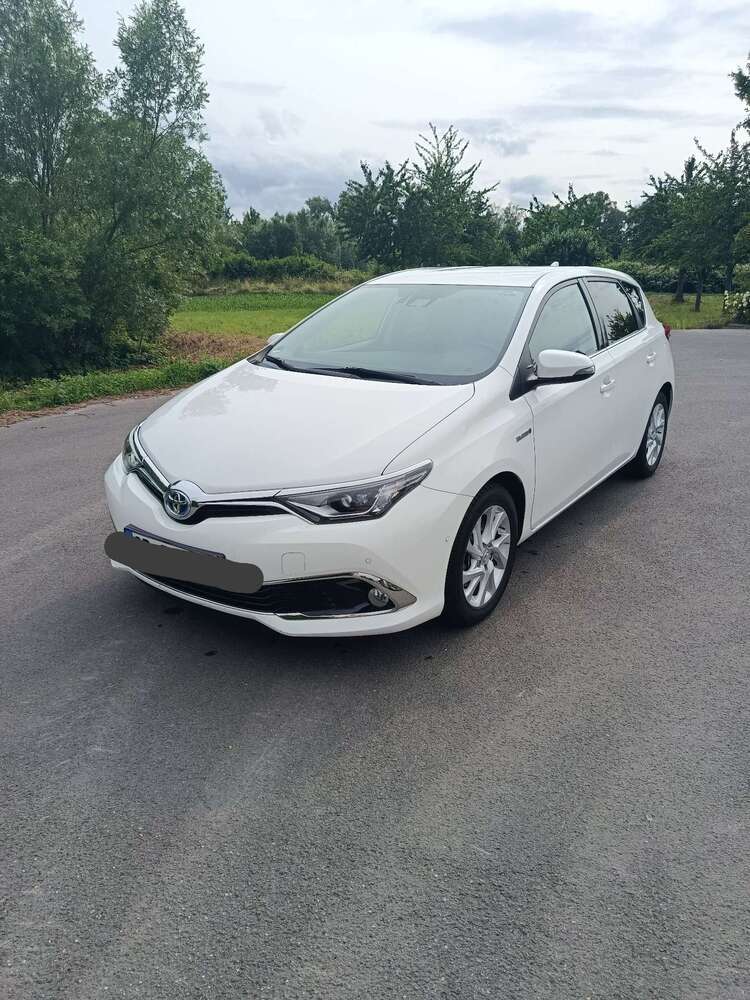 Auris