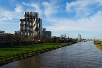 Wohnung Mannheim Oststadt - 1 Zimmer, 37 m&sup2;, 550&euro; | Angebot:25522948