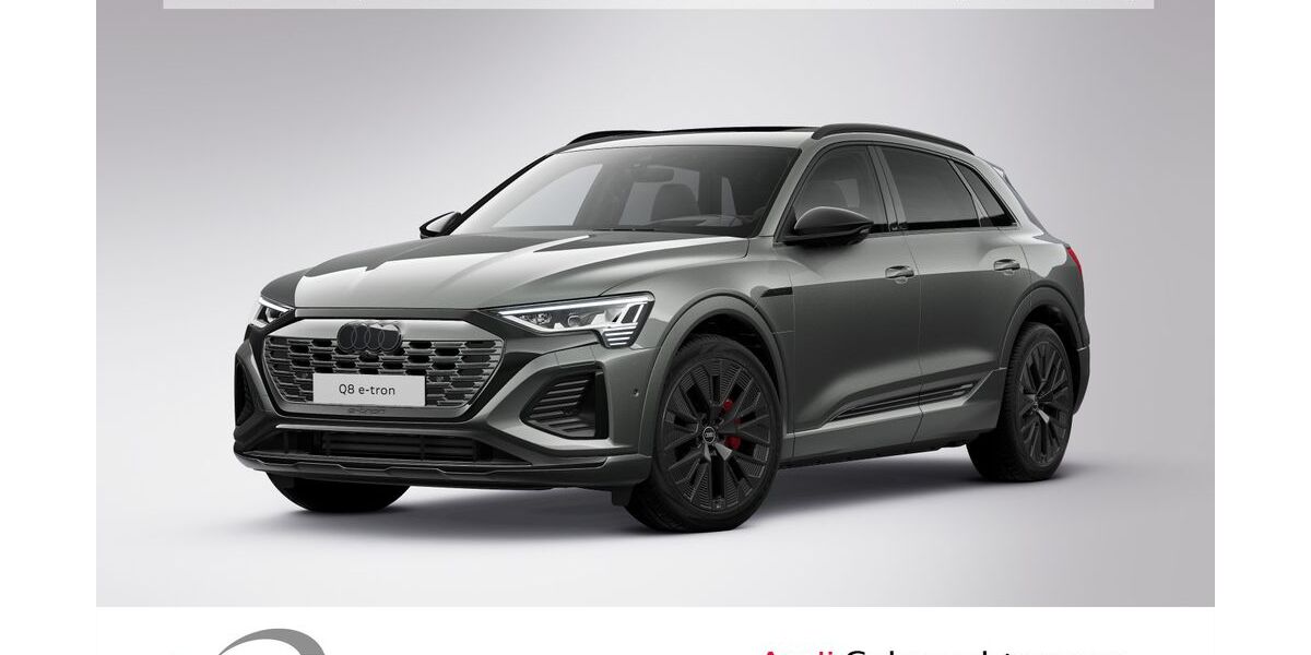 Audi Q8 e-tron 34.670 km 61.900 &euro; Ludwigshafen 67063