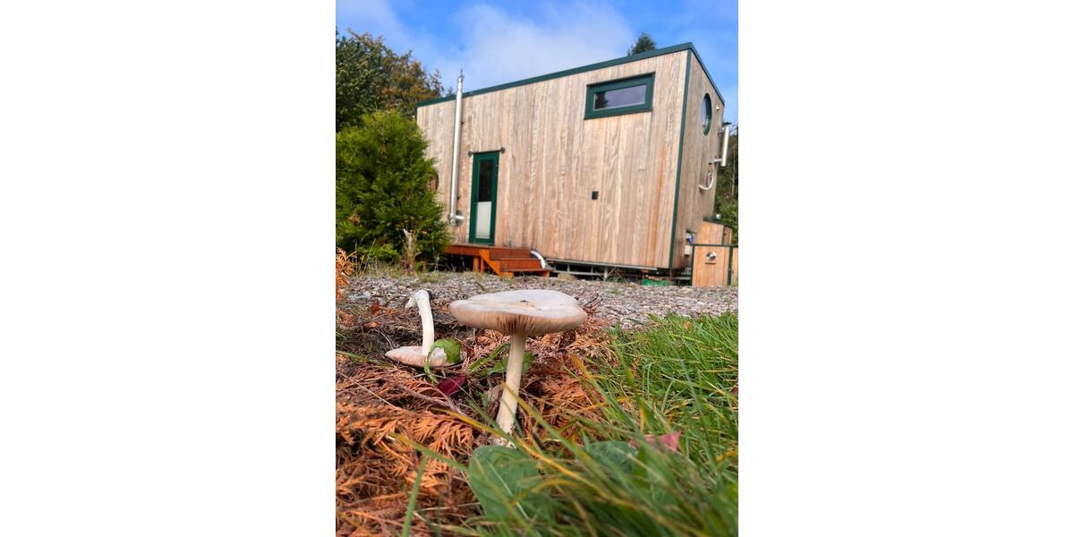 Einfamilienhaus Wald-Michelbach Michelbach - 3 Zimmer, 22 m&sup2;, 86.800&euro; | Angebot:25926005