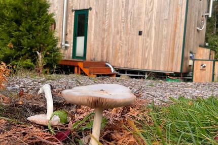 Haus Wald-Michelbach Michelbach - 3 Zimmer, 22 m&sup2;, 86.800&euro; | Angebot:25926005