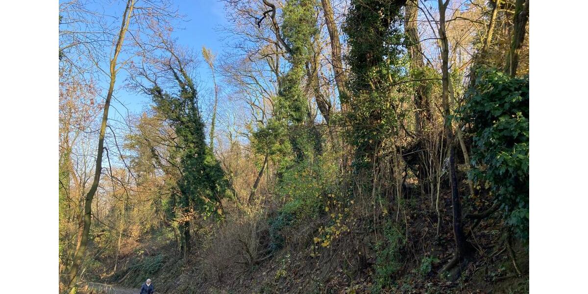 Grundstück Weinheim - 69.000&euro; | Angebot:23843184