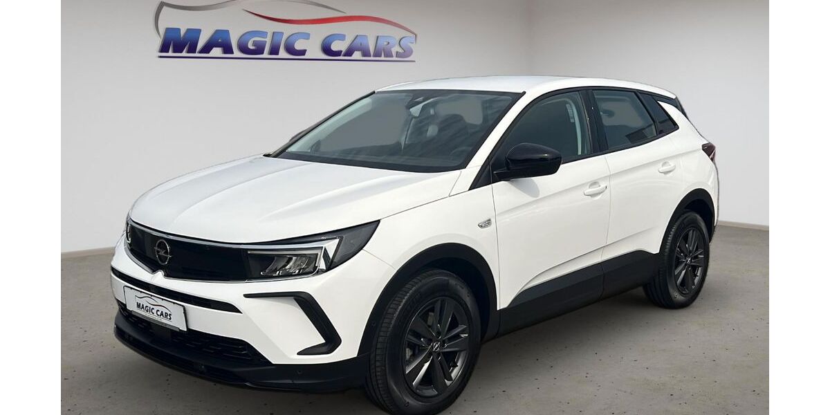 Opel Grandland (X) 48.000 km 22.900 &euro; Worms 67547