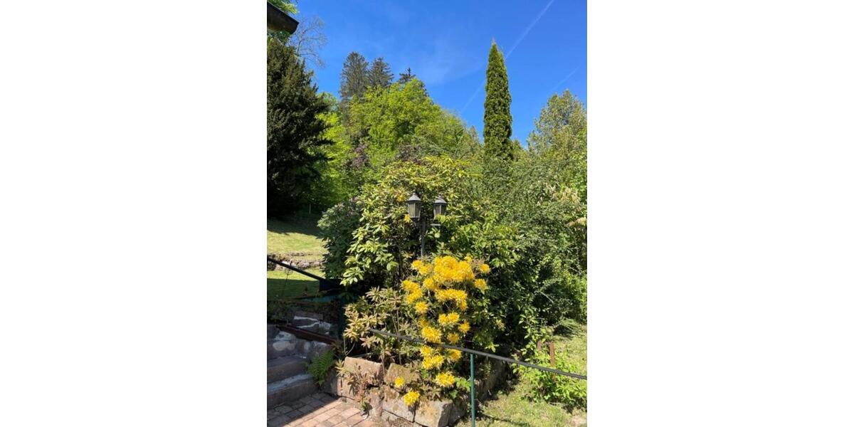 Charmantes Haus am Waldrand von Wilhelmsfeld 6 zimmer