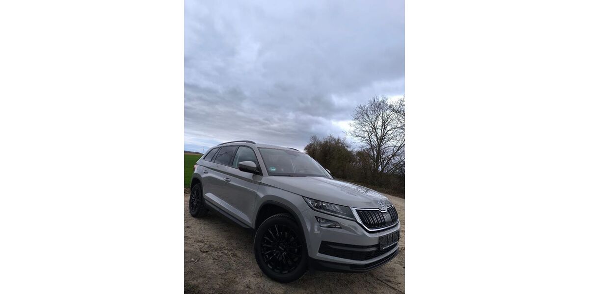 Skoda Kodiaq 91.000 km 21.700 &euro; Schwegenheim 67365