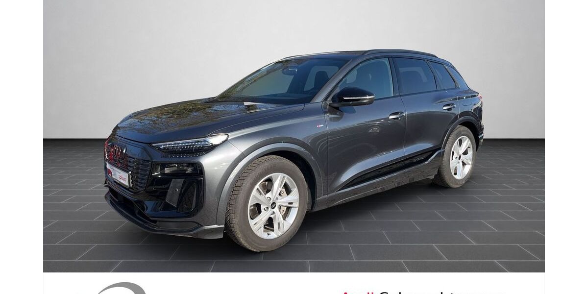 Audi Q6 e-tron 29.149 km 61.900 &euro; Ludwigshafen 67063