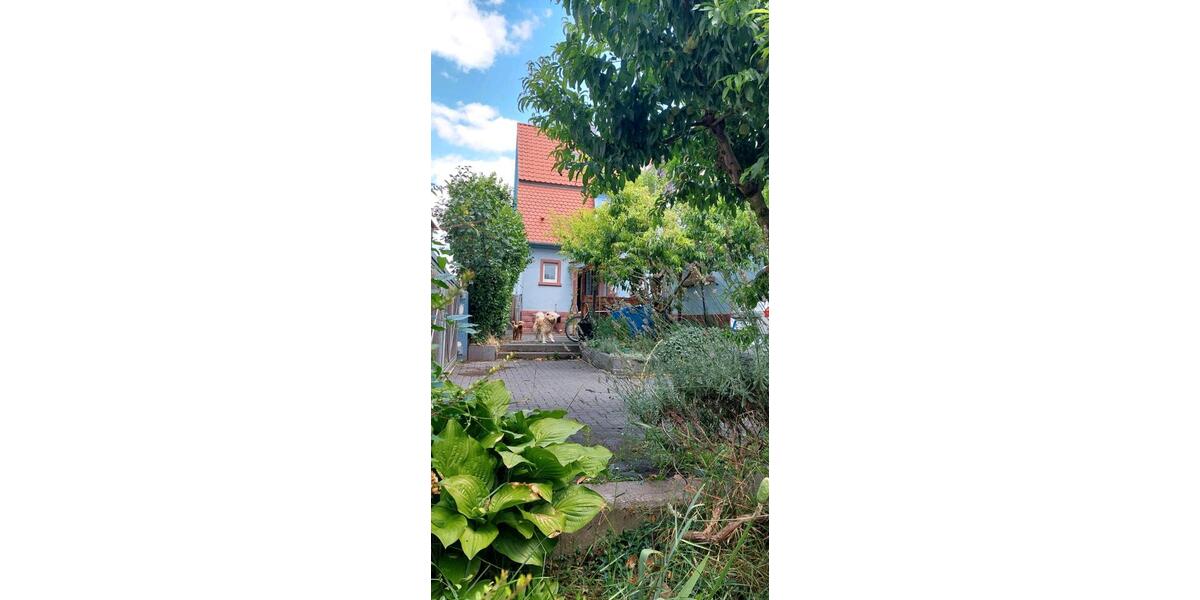 Doppelhaushälfte 5 zimmer