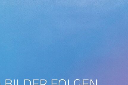 Alpina B4 32.286 km 81.580 &euro; Speyer 67346