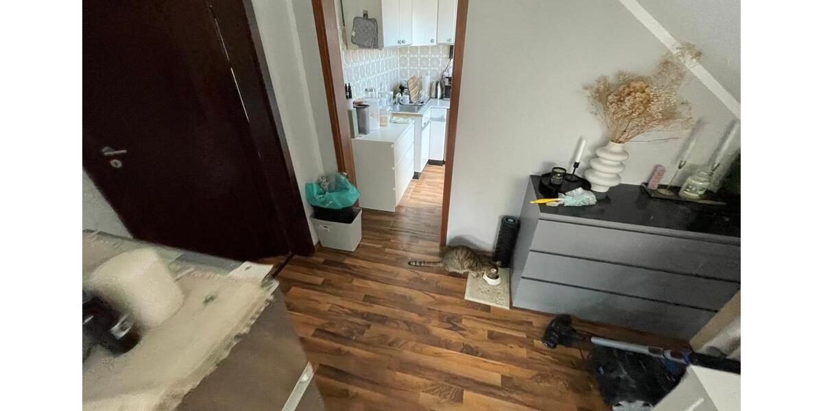 2 Zimmer, Küche, Bad 2 zimmer