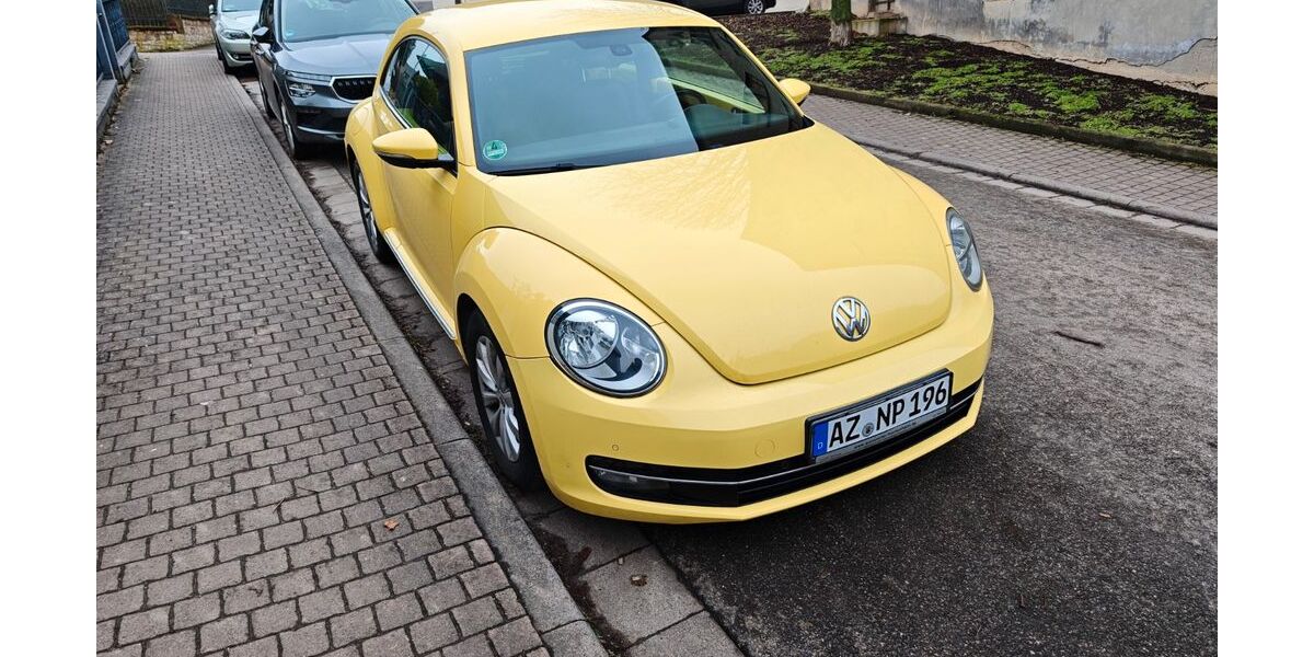 VW Beetle 197.000 km 6.000 &euro; Bechtheim 67595