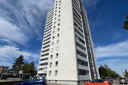 3 Zimmer Wohnung zimmer