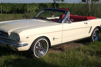 Ford Mustang 43.000 km 22.999 &euro; Worms 67549