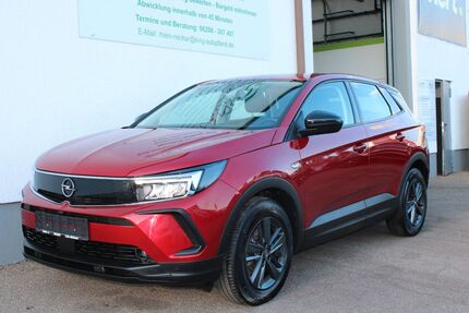 Opel Grandland (X) 100.400 km 16.890 &euro; Lampertheim 68623