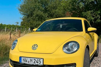 VW Beetle 69.845 km 11.900 &euro; Neustadt an der Weinstraße 67435