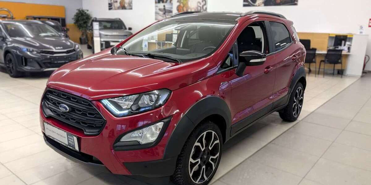 Ford EcoSport 11.000 km 20.790 &euro; Neustadt an der Weinstrasse 67433