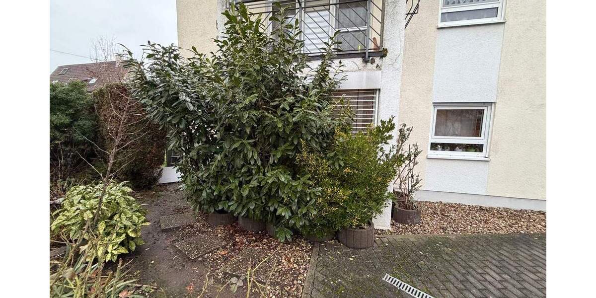 Etagenwohnung Mannheim Friedrichsfeld - 4 Zimmer, 106 m&sup2;, 380.000&euro; | Angebot:25770801