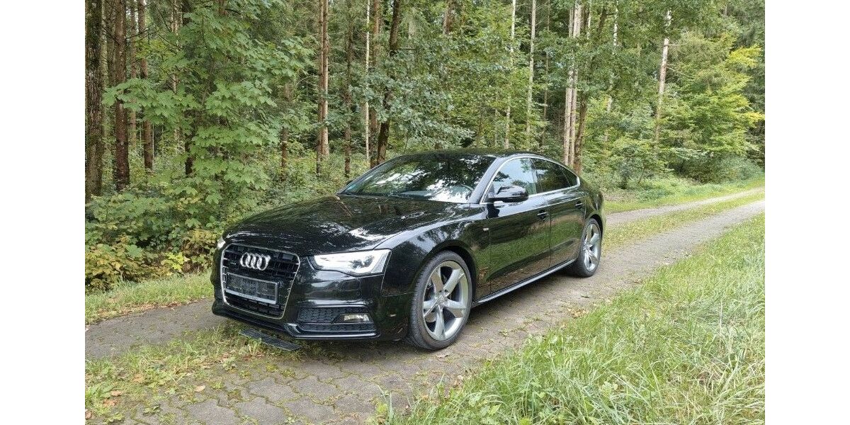 Audi A5 137.500 km 17.500 &euro; Worms 67551