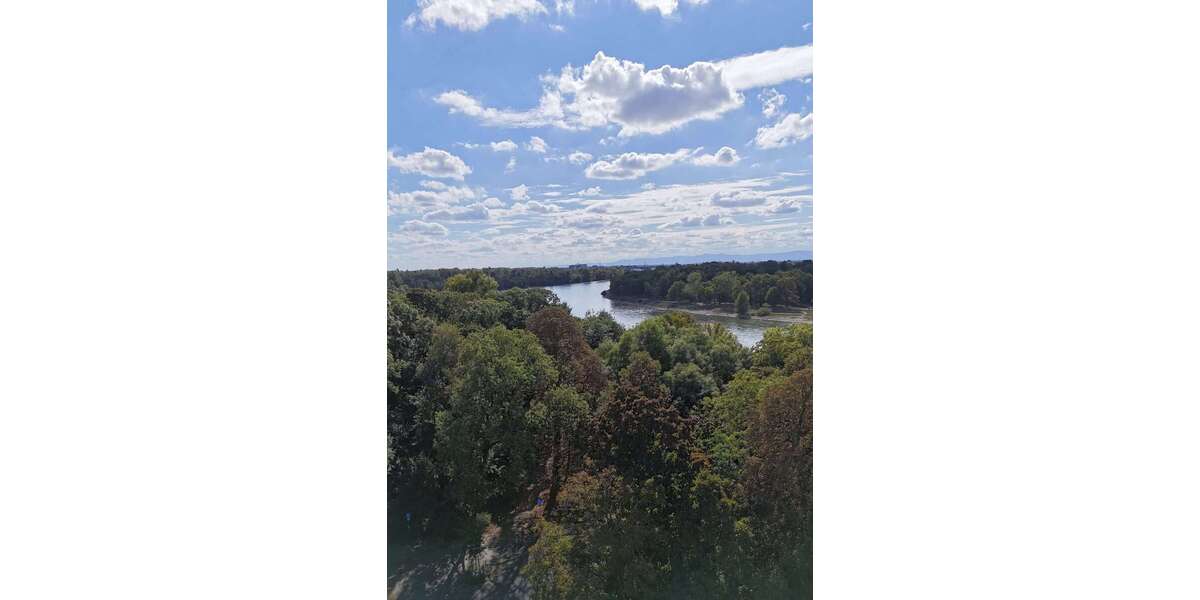 Wohnung zum Kaufen in Mannheim 450.000 € 95.95 m² 4 zimmer